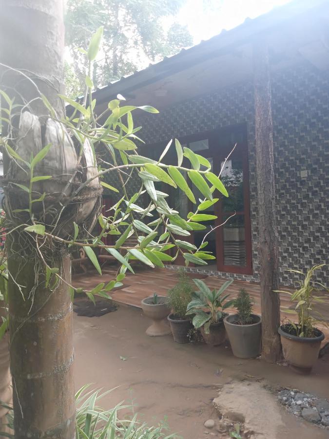 Supipi Homestay Ella Ngoại thất bức ảnh