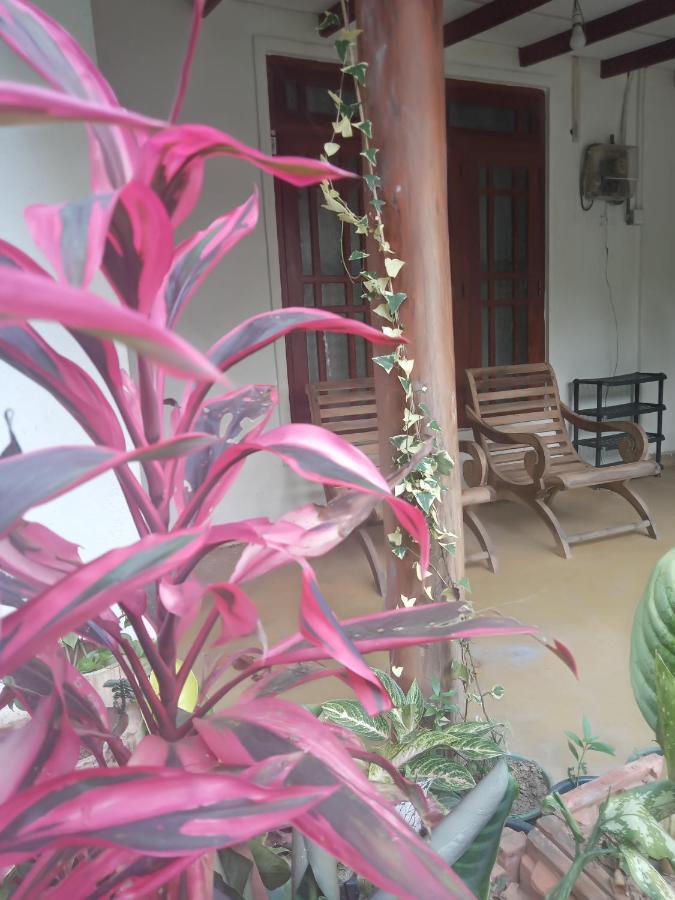 Supipi Homestay Ella Ngoại thất bức ảnh