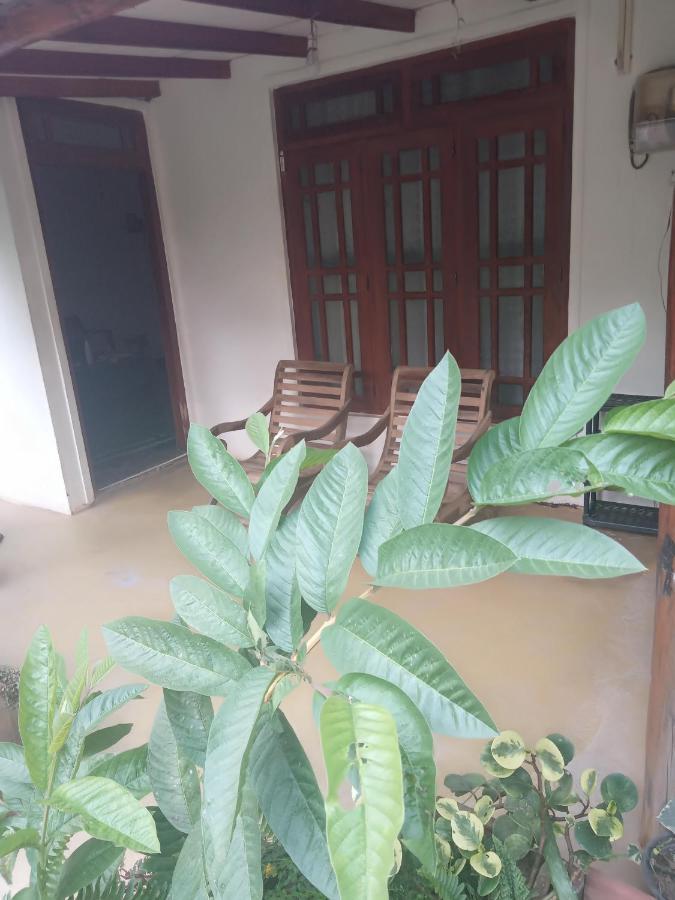 Supipi Homestay Ella Ngoại thất bức ảnh